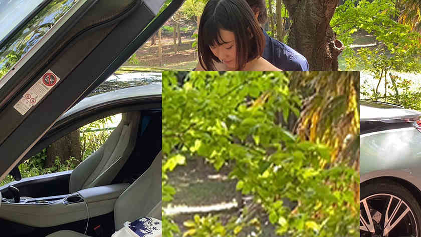 500DPL-0037立花みはる